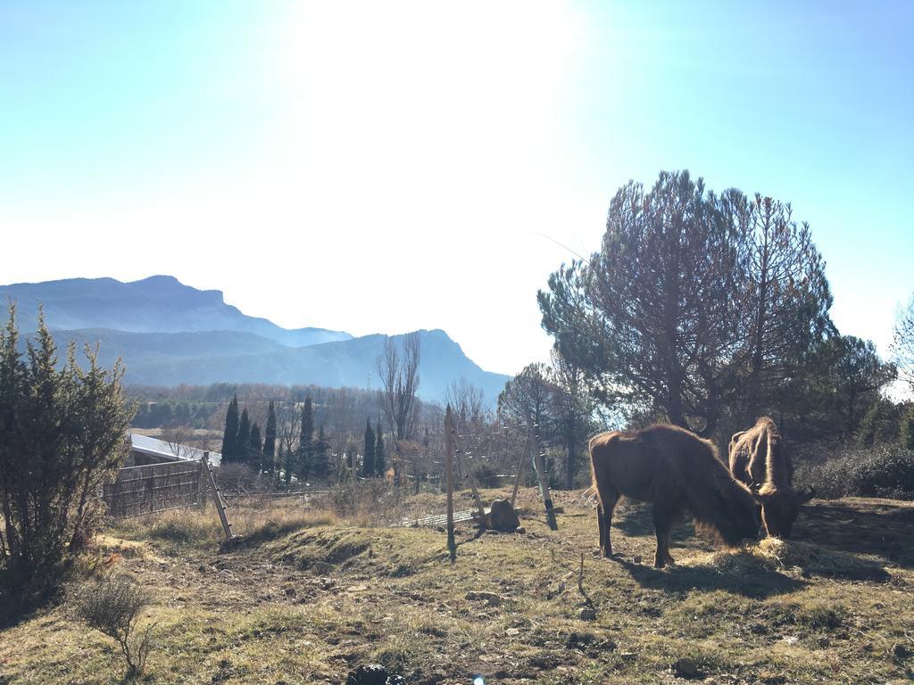 El Jou Nature Sant Corneli Dış mekan fotoğraf