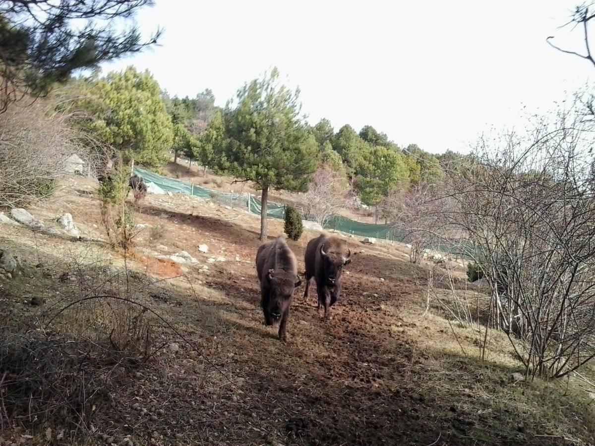 El Jou Nature Sant Corneli Dış mekan fotoğraf